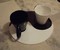 Caf gourmand zen - yin yang
